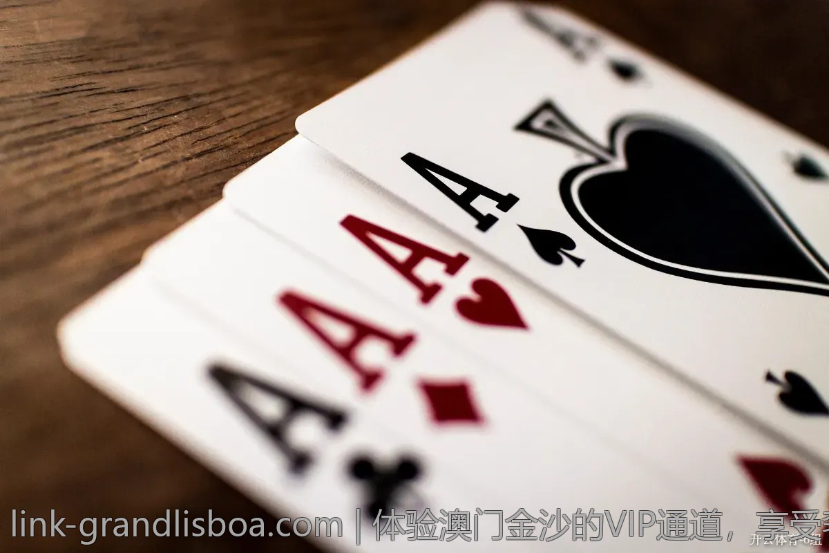 体验澳门金沙的VIP通道，享受奢华待遇
