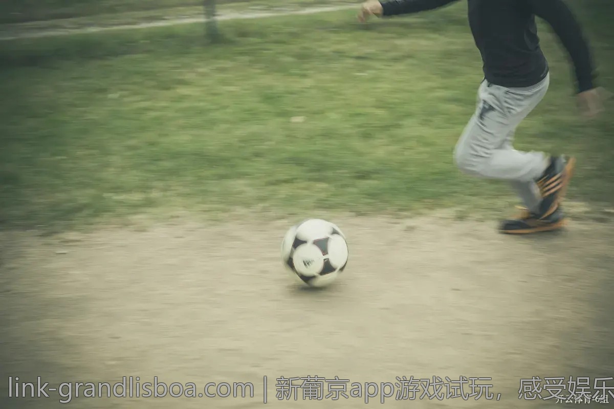 新葡京app游戏试玩，感受娱乐的乐趣