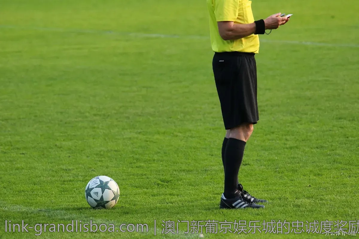 澳门新葡京娱乐城的忠诚度奖励，你参加了吗？