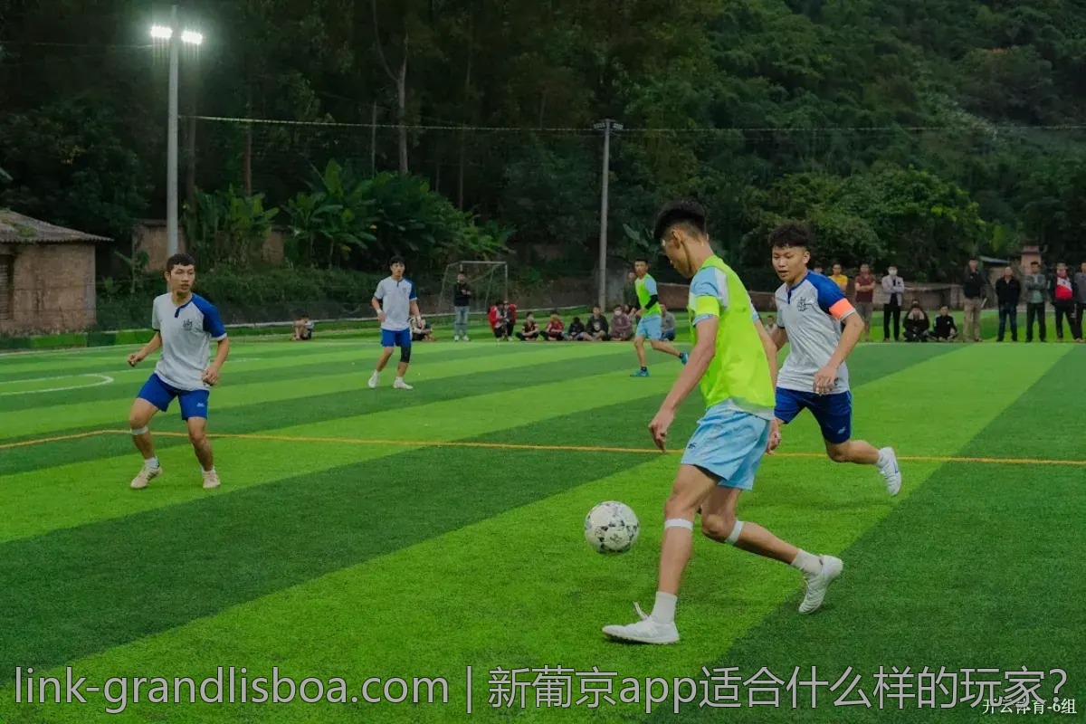 新葡京app适合什么样的玩家？详细解析