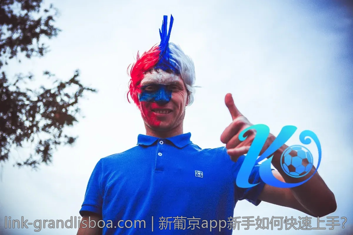 新葡京app新手如何快速上手？经验分享
